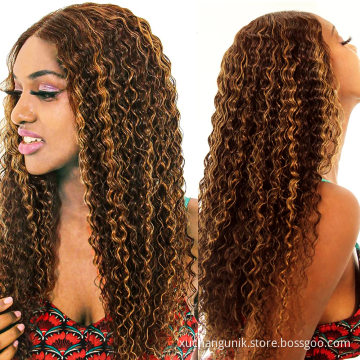 Human Wig Vendor Highlight Brown Wig Ombre Color Malaysian Virgin Cuticle Aligned Human Hair Wig HD Lace Front Closurs
